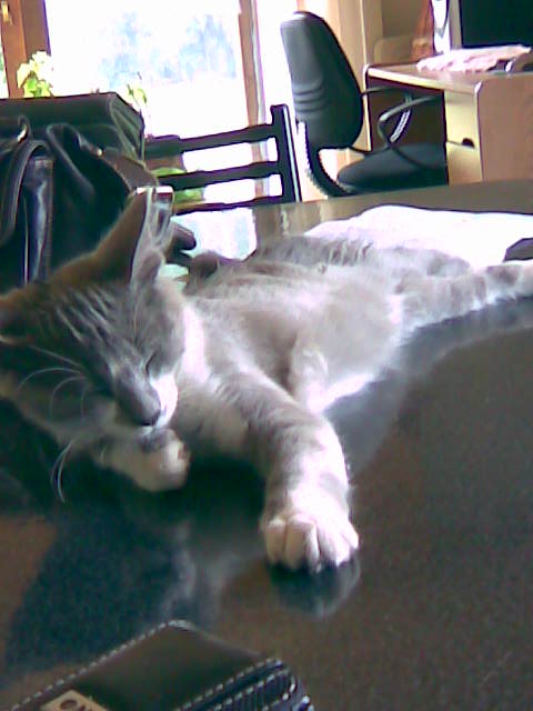 fotos/0000-00-00 - Infancia/Imagen057b.jpg